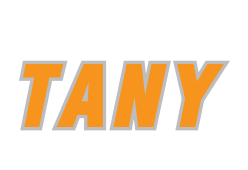 Логотоип Tany